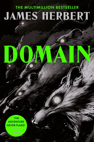 Cover image for 9781037406256 - Domain