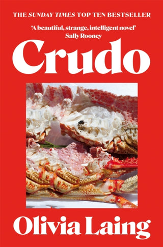 Cover image for 9781037414961 - Crudo