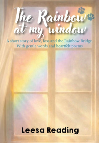 Cover image for 9781066853502 - The Rainbow at My Window