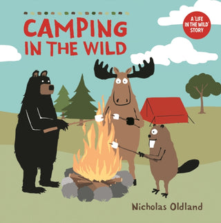 Cover image for 9781068234910 - Camping In The Wild