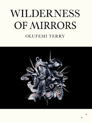 Cover image for 9781068433856 - Wilderness of Mirrors