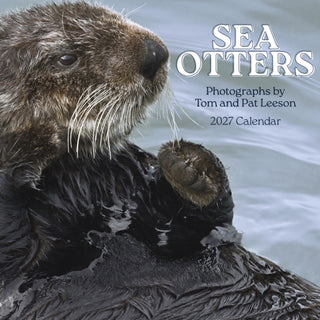 Cover image for 9781087514765 - Sea Otters: Photographs by Tom and Pat Leeson 2027 Wall Calendar