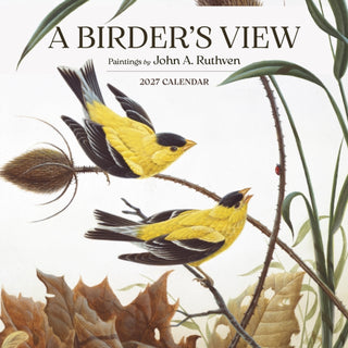 Cover image for 9781087514802 - A Birder's View: Paintings by John A. Ruthven 2027 Wall Calendar