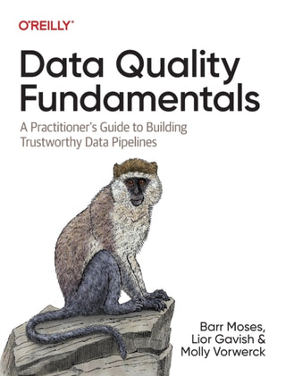 Supplemental image for 9781098112042 - Data Quality Fundamentals