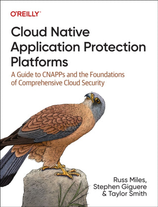 Supplemental image for 9781098141707 - Cloud Native Application Protection Platforms