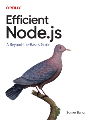 Supplemental image for 9781098145194 - Efficient Node.js