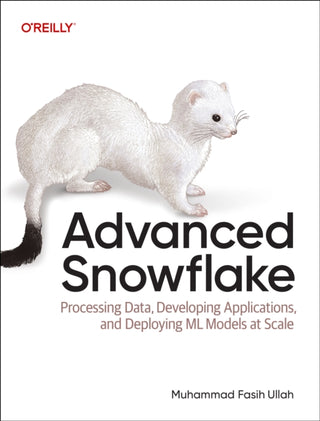 Cover image for 9781098170219 - Advanced Snowflake