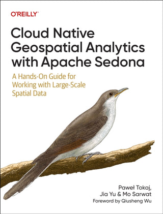 Supplemental image for 9781098173999 - Cloud Native Geospatial Analytics with Apache Sedona