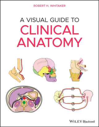 Cover image for 9781119708100 - A Visual Guide to Clinical Anatomy