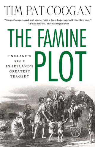 Cover image for 9781137278838 - The Famine Plot