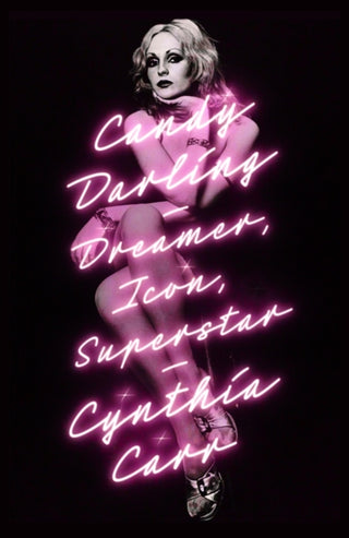 Cover image for 9781250066350 - Candy Darling