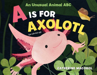 Cover image for 9781250108104 - A Is for Axolotl: An Unusual Animal ABC