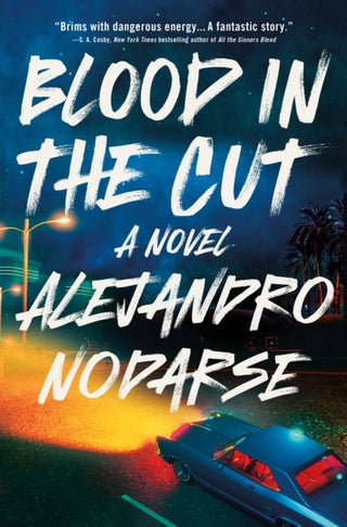 Cover image for 9781250326515 - Blood in the Cut