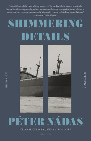 Cover image for 9781250338242 - Shimmering Details