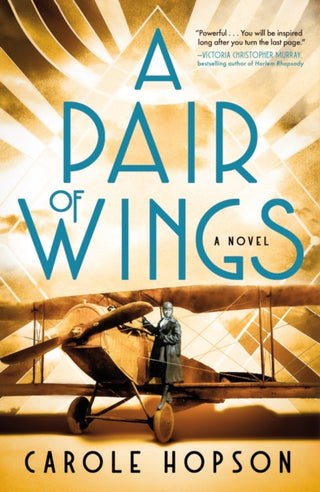 Cover image for 9781250347220 - A Pair of Wings