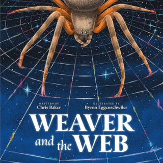 Cover image for 9781250349217 - Weaver and the Web