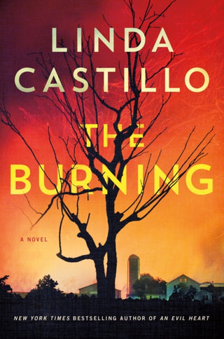 Supplemental image for 9781250360465 - The Burning