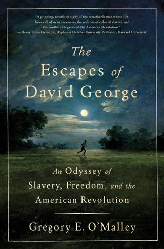 Cover image for 9781250364234 - The Escapes of David George
