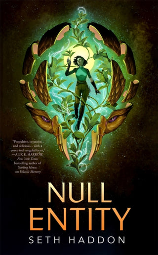 Cover image for 9781250365217 - Null Entity