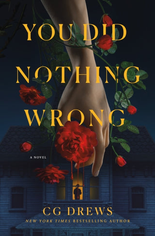 Cover image for 9781250369994 - You Did Nothing Wrong