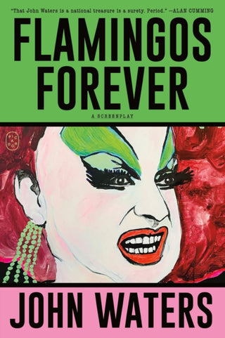 Cover image for 9781250371270 - Flamingos Forever
