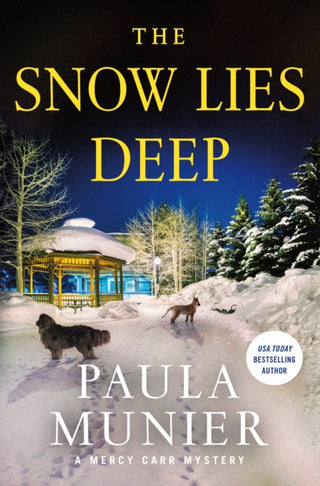Cover image for 9781250389985 - The Snow Lies Deep