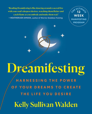 Cover image for 9781250391155 - Dreamafesting