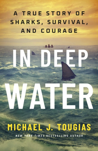 Cover image for 9781250406224 - In Deep Water