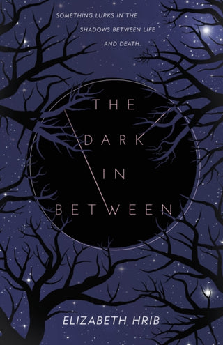 Cover image for 9781250419880 - The Dark In-Between