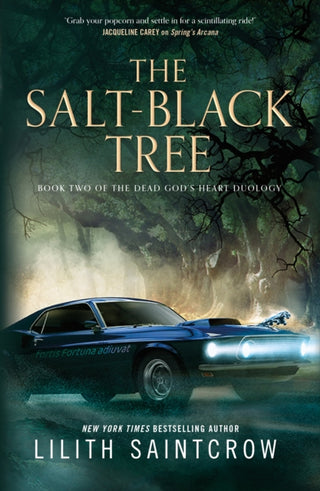 Cover image for 9781250791566 - The Salt-Black Tree