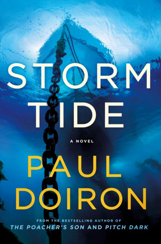 Cover image for 9781250864451 - Storm Tide