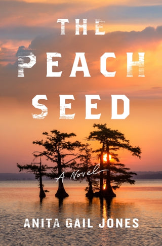 Cover image for 9781250872050 - The Peach Seed