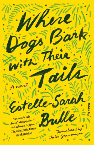 Cover image for 9781250872975 - Where Dogs Bark with Their Tails
