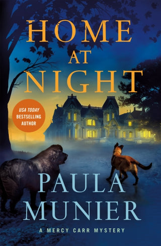 Cover image for 9781250887894 - Home at Night