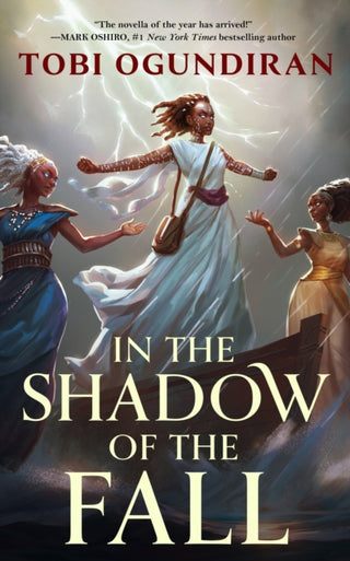 Cover image for 9781250907967 - In the Shadow of the Fall