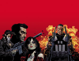 Cover image for 9781302914301 - Marvel Knights: Punisher