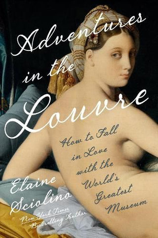 Cover image for 9781324021407 - Adventures in the Louvre