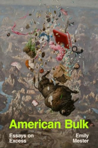 Cover image for 9781324035237 - American Bulk – Essays on Excess