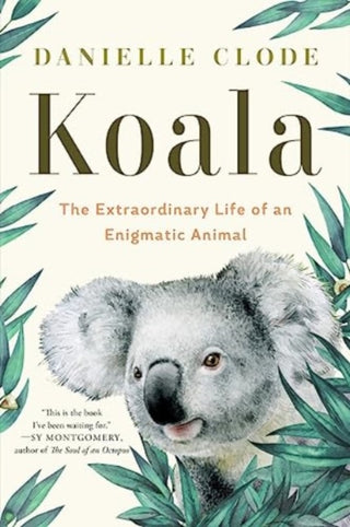 Cover image for 9781324074496 - Koala – The Extraordinary Life of an Enigmatic Animal