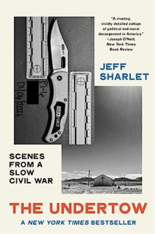 Cover image for 9781324074519 - The Undertow – Scenes from a Slow Civil War