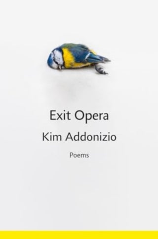 Cover image for 9781324078937 - Exit Opera – Poems