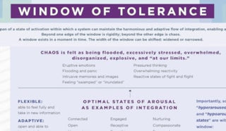 Cover image for 9781324082040 - Window of Tolerance Laminated Card
