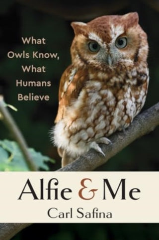 Cover image for 9781324086482 - Alfie and Me – What Owls Know, What Humans Believe