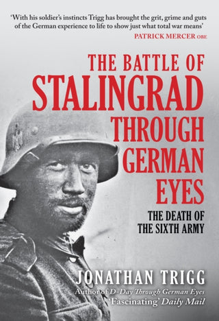 Cover image for 9781398110717 - The Battle of Stalingrad Through German Eyes
