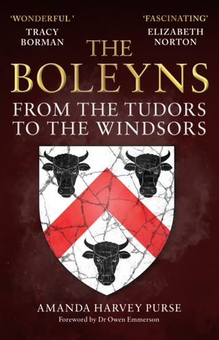 Cover image for 9781398119611 - The Boleyns