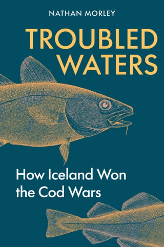 Cover image for 9781398127548 - Troubled Waters