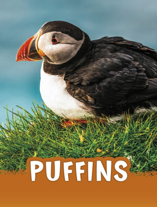 Supplemental image for 9781398202450 - Puffins