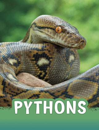 Cover image for 9781398202474 - Pythons