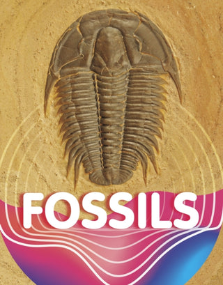 Cover image for 9781398204089 - Fossils