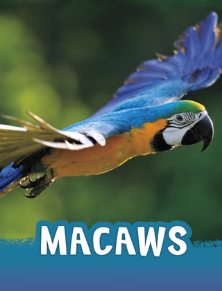 Cover image for 9781398213142 - Macaws